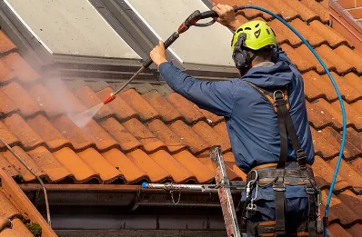 Démoussage et hydrofuge de toiture à la Fontelaye